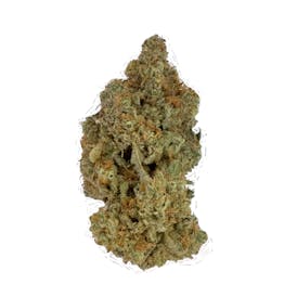 Higher Union - Grease Monkey - Flower