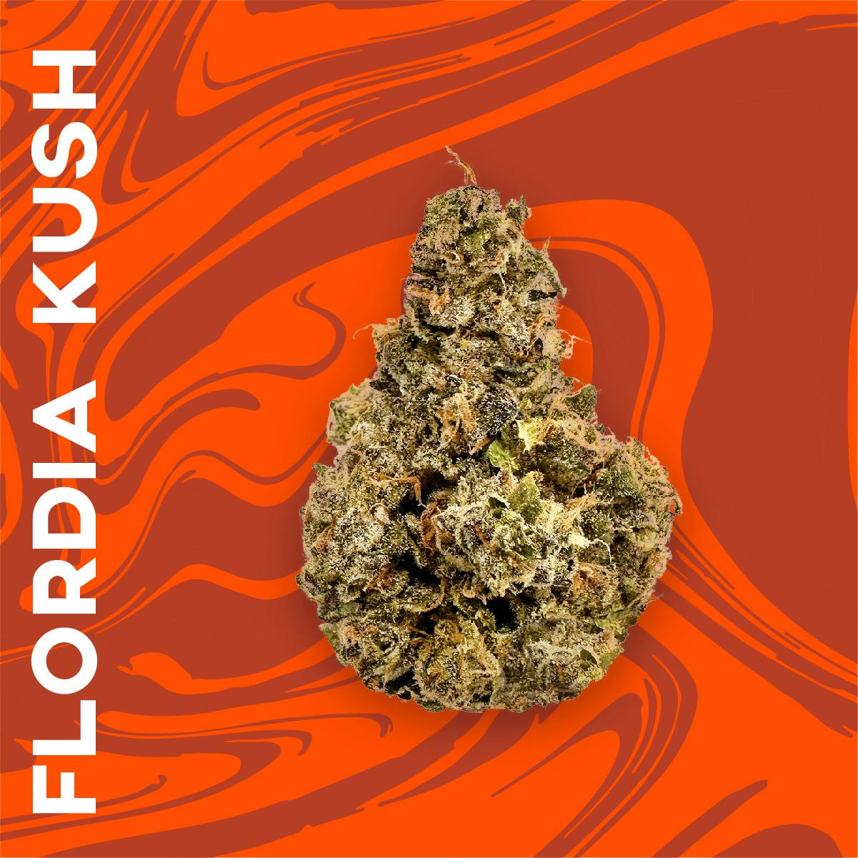 Vivid | Florida Kush