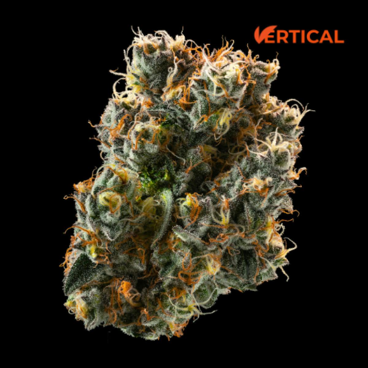 Vertical | Scotch and Soda 3.5g | Tier 1