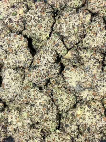 MODIFIED GRAPES $8G - SMALLS