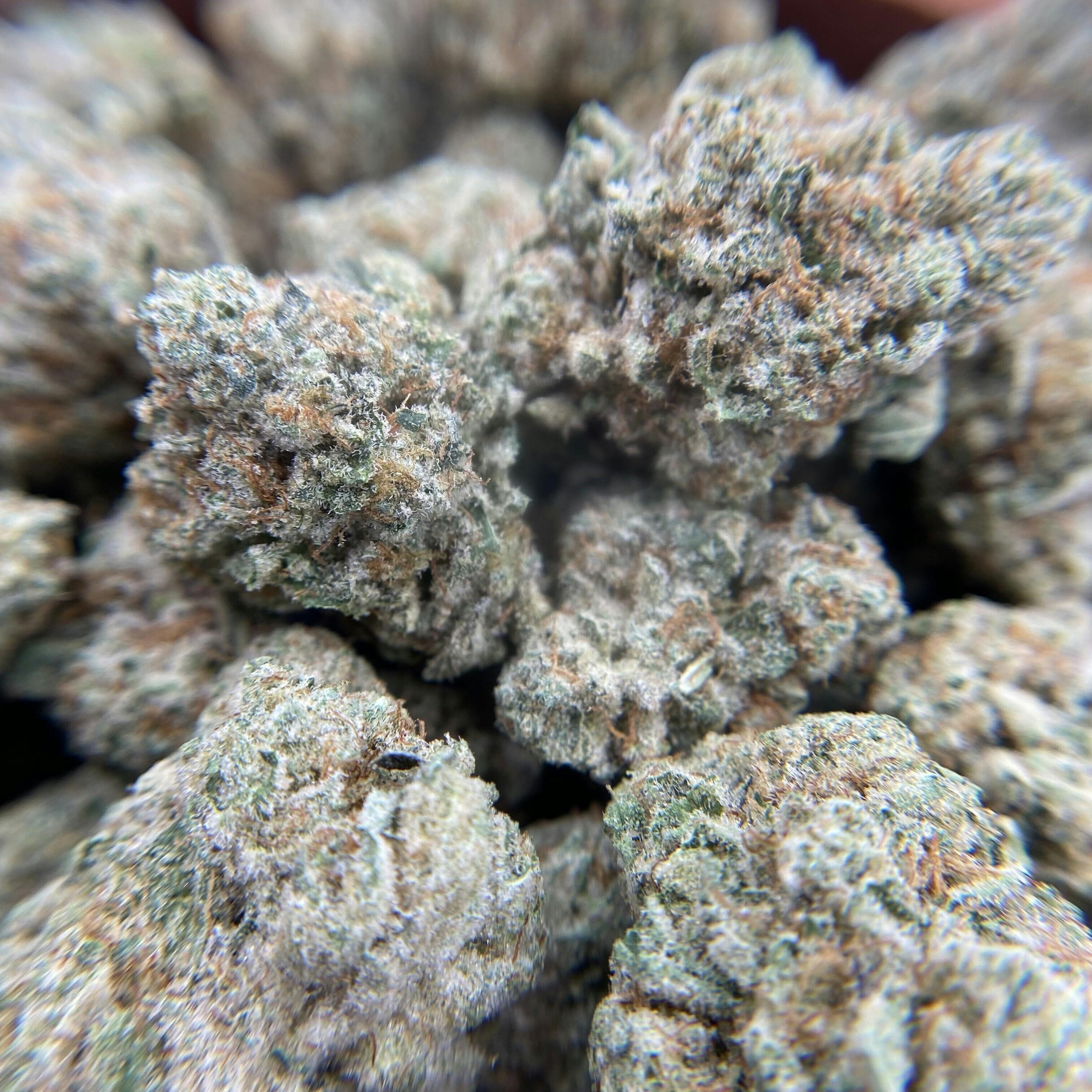 Georgia Pie Buds