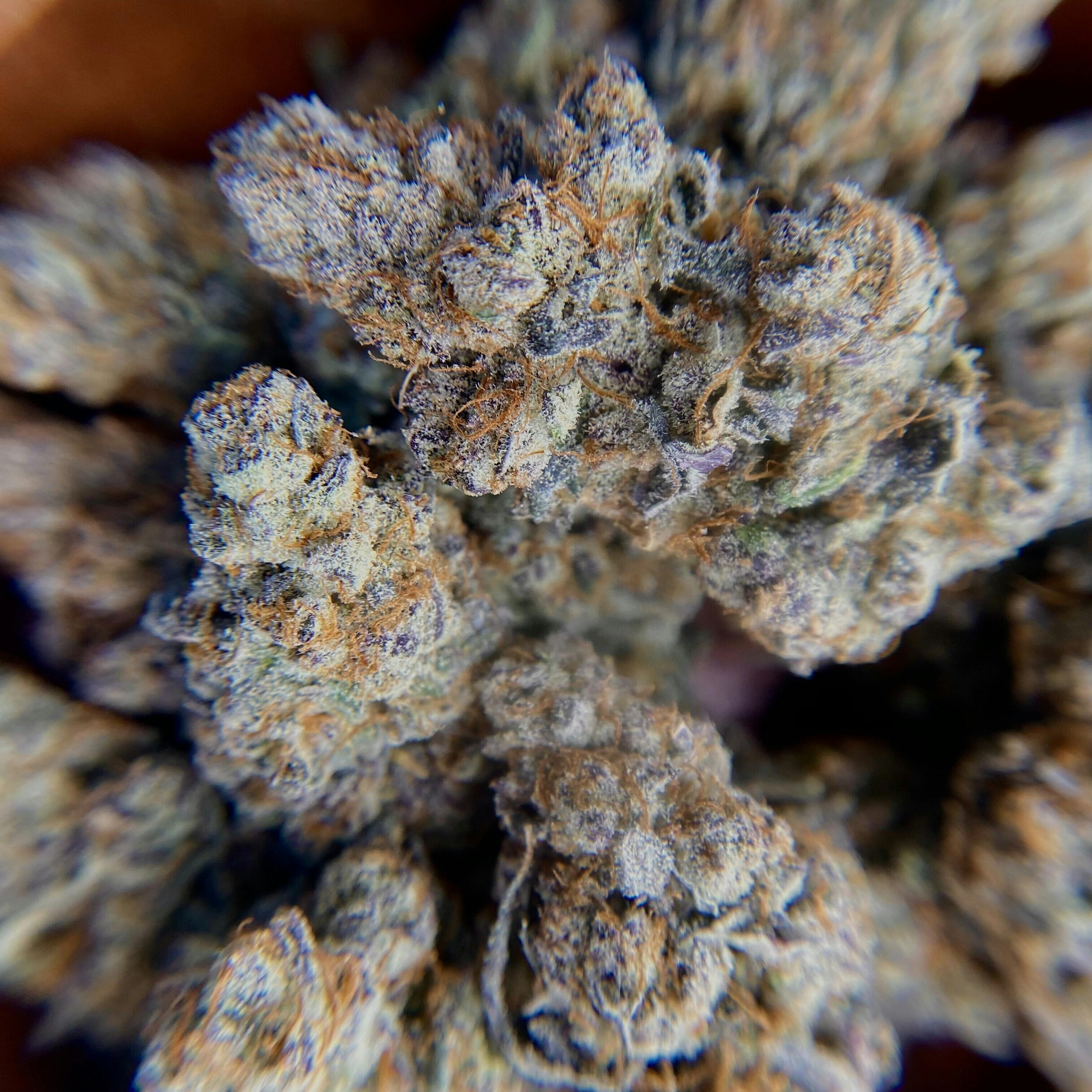 Ice Cream Cake Buds