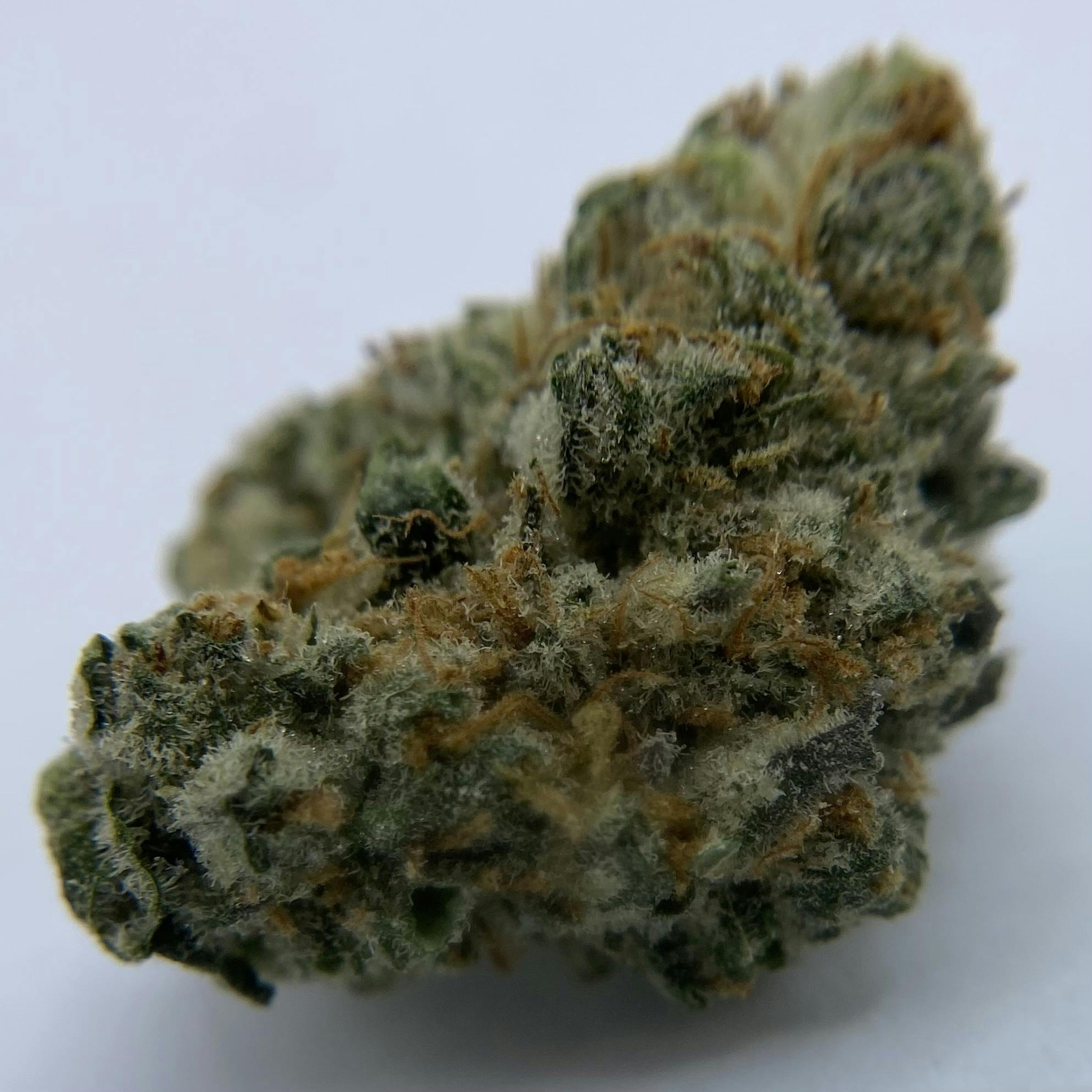 Item 9 Buds
