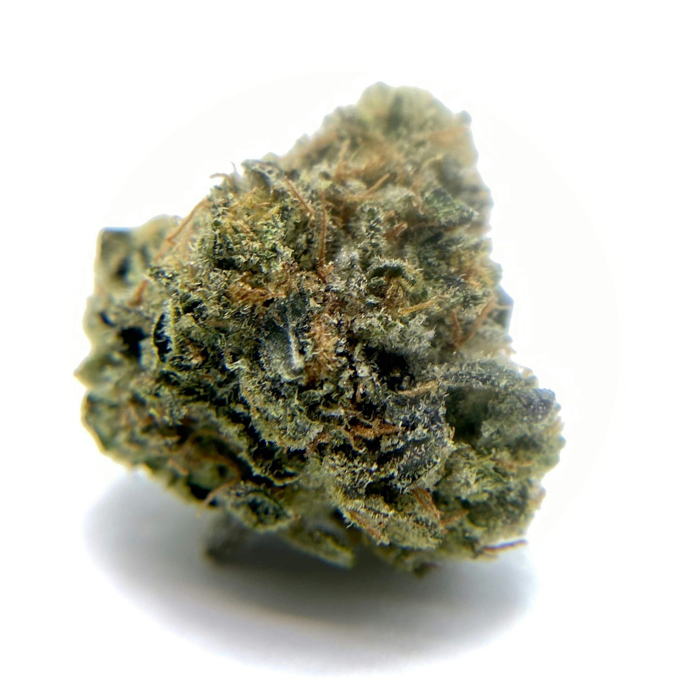 Orange Kush Buds