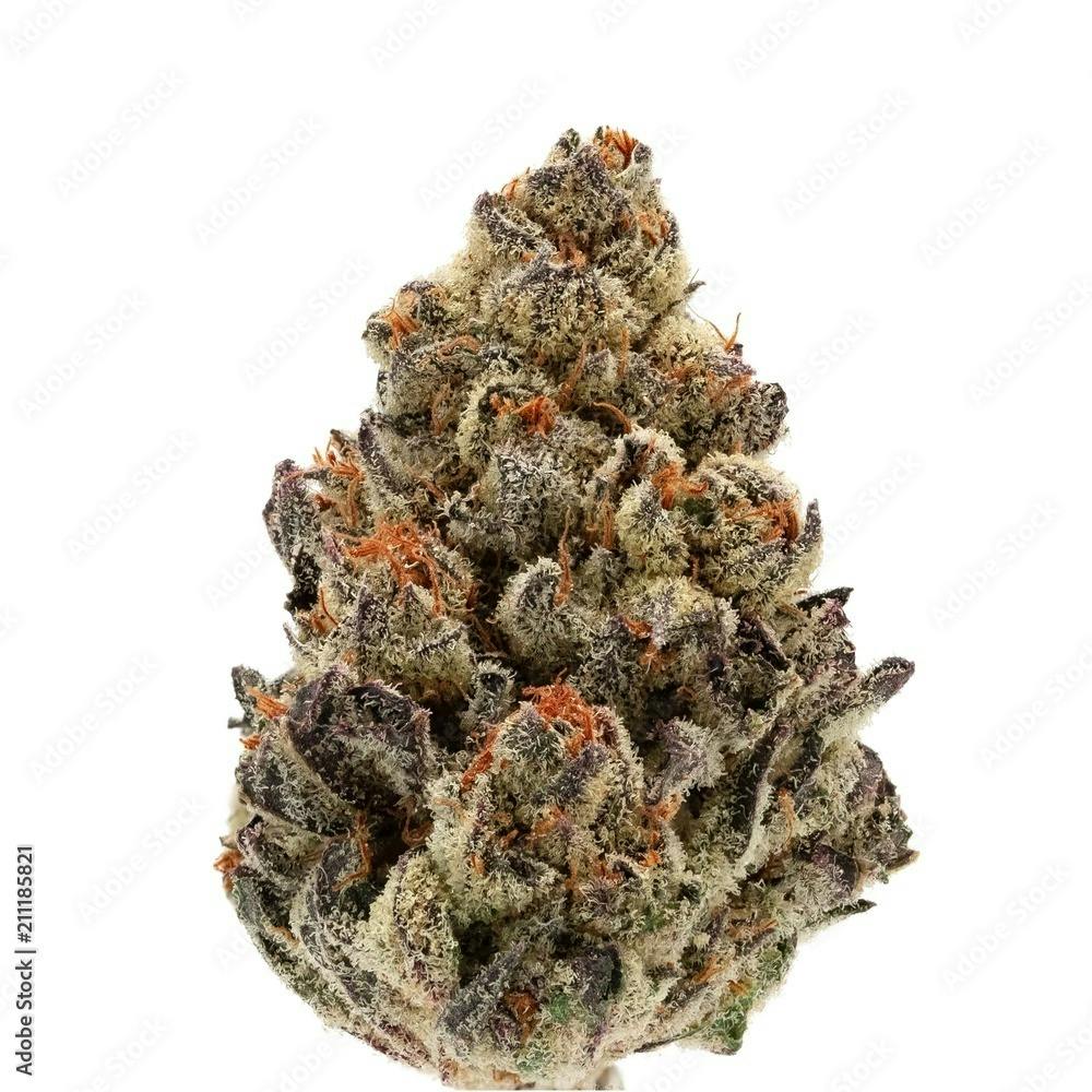 Eye Kandy Buds