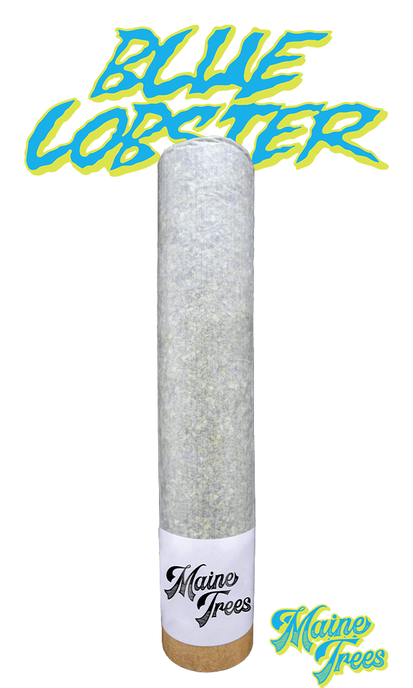 7g Handroll - Blue Lobster