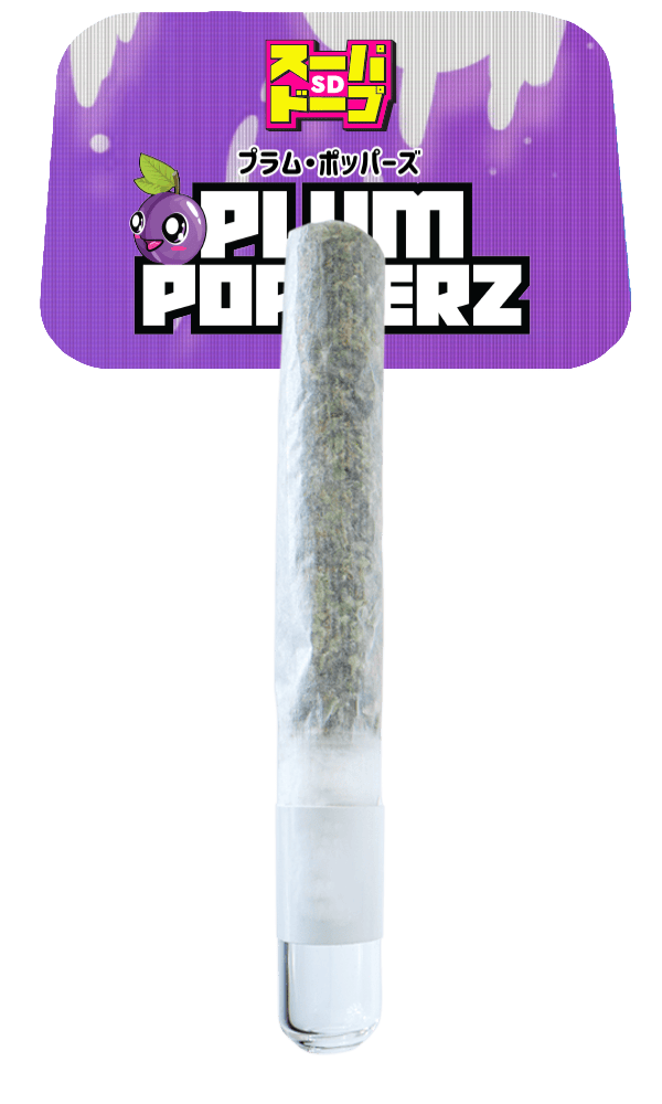 SD Handroll 1G - Plum Popperz