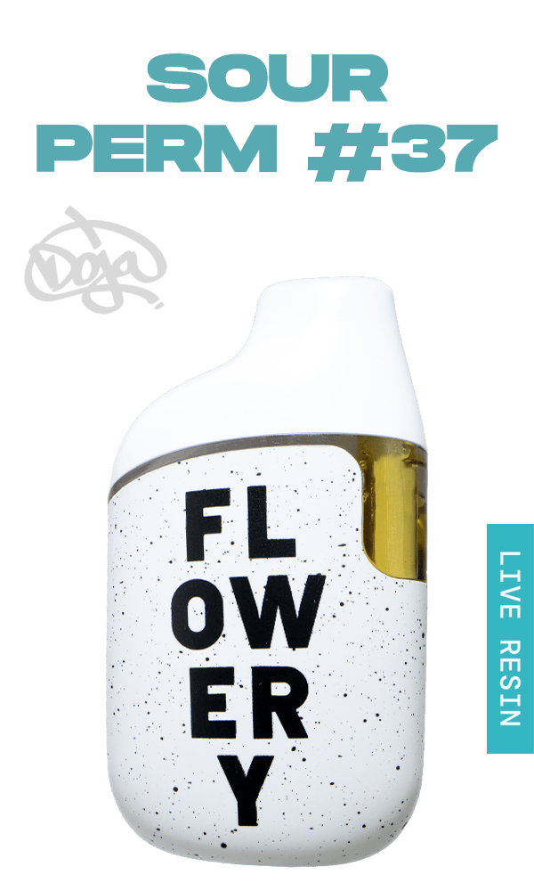 Flowery Aio Sour Perm #37