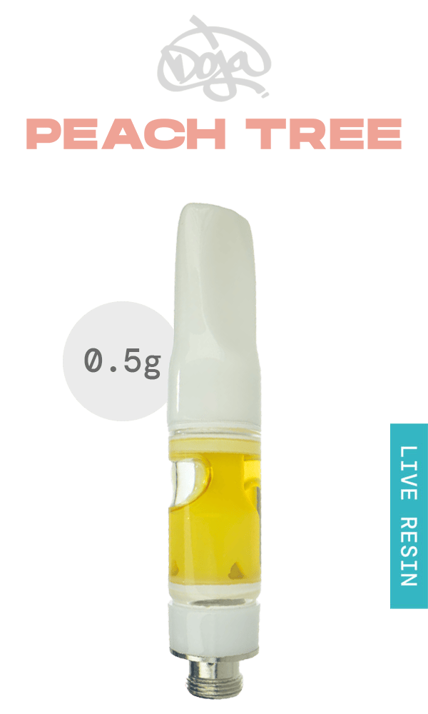 Peach Tree