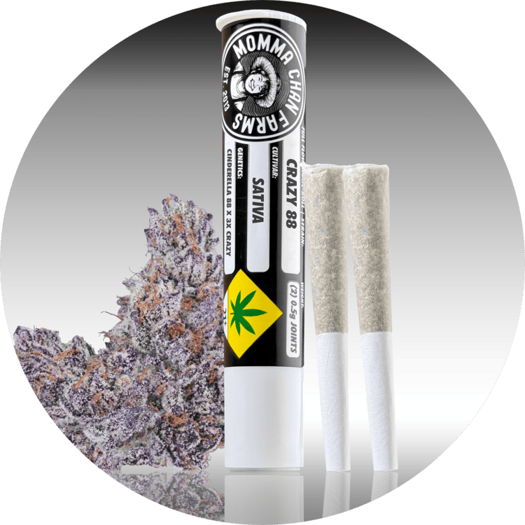 MAC:: Crazy 88 Preroll | 2 Pack