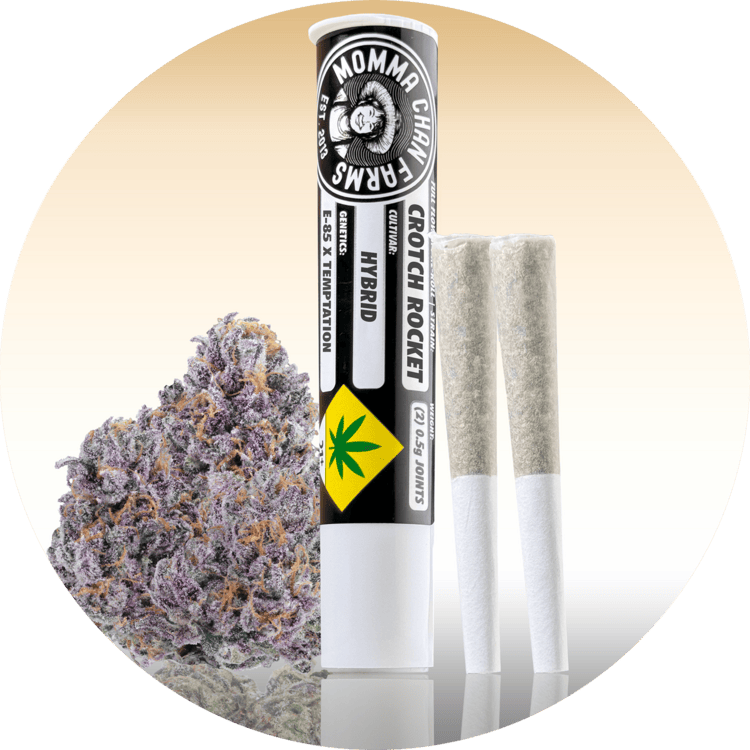 MAC:: Crotch Rocket Preroll | 2 Pack