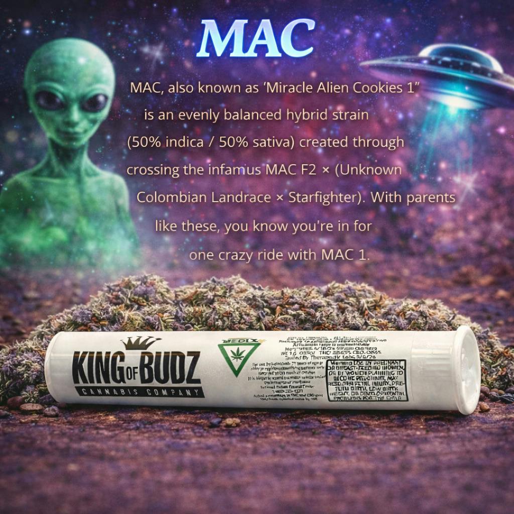 KOB - 1g Preroll - MAC
