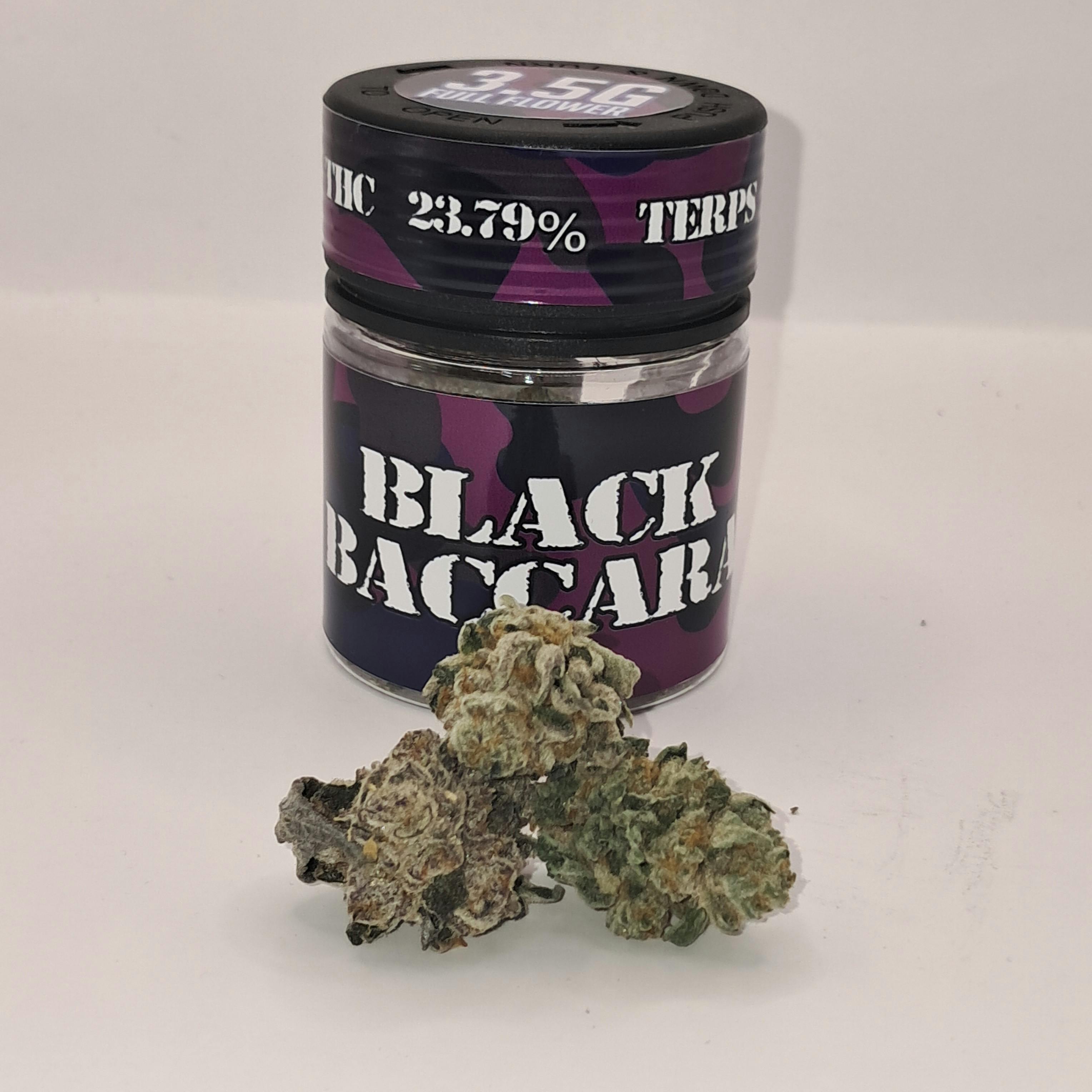 Op Grow 20 Black Baccara