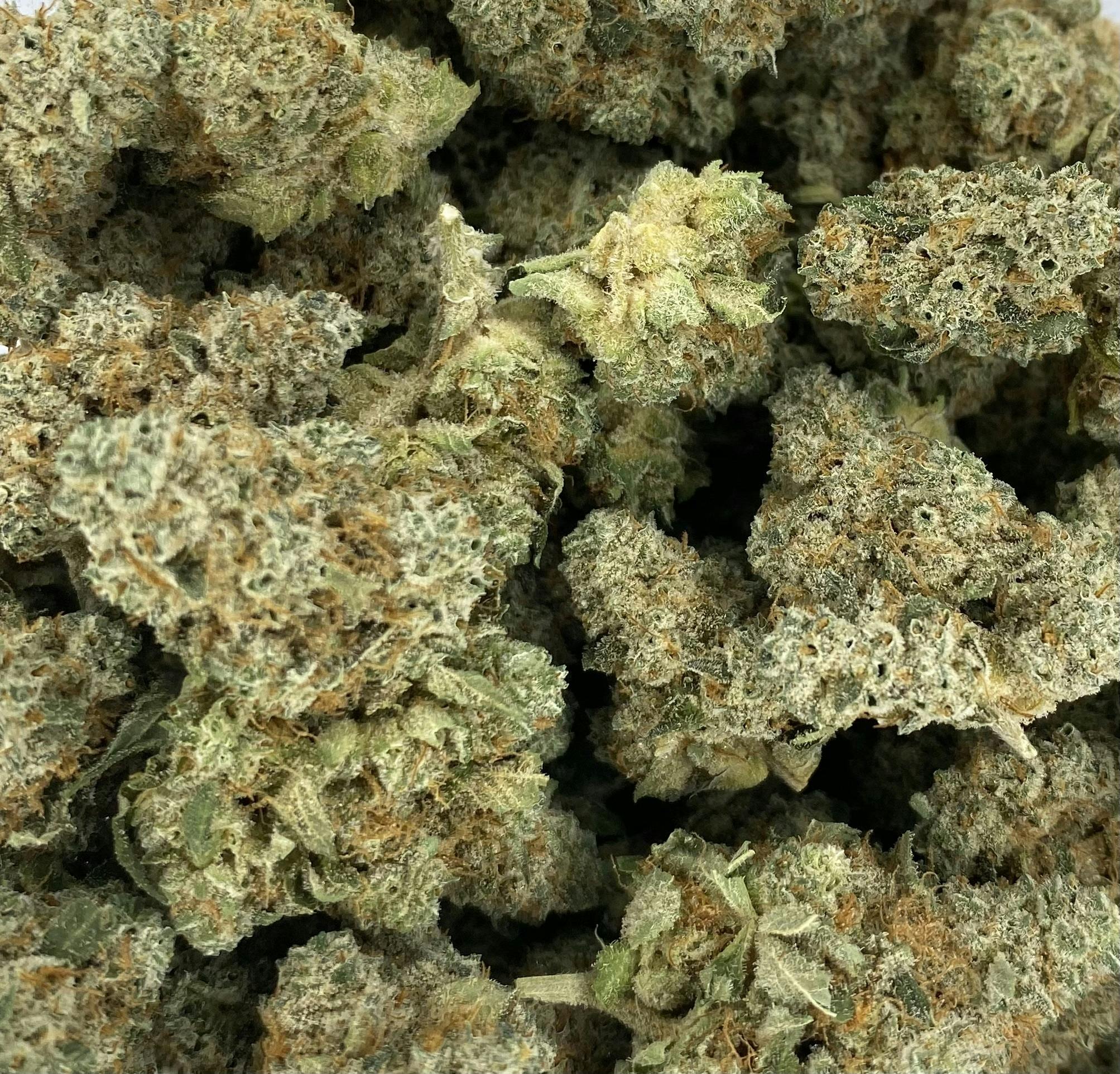 Primo Danks - Flower - Gak Splash