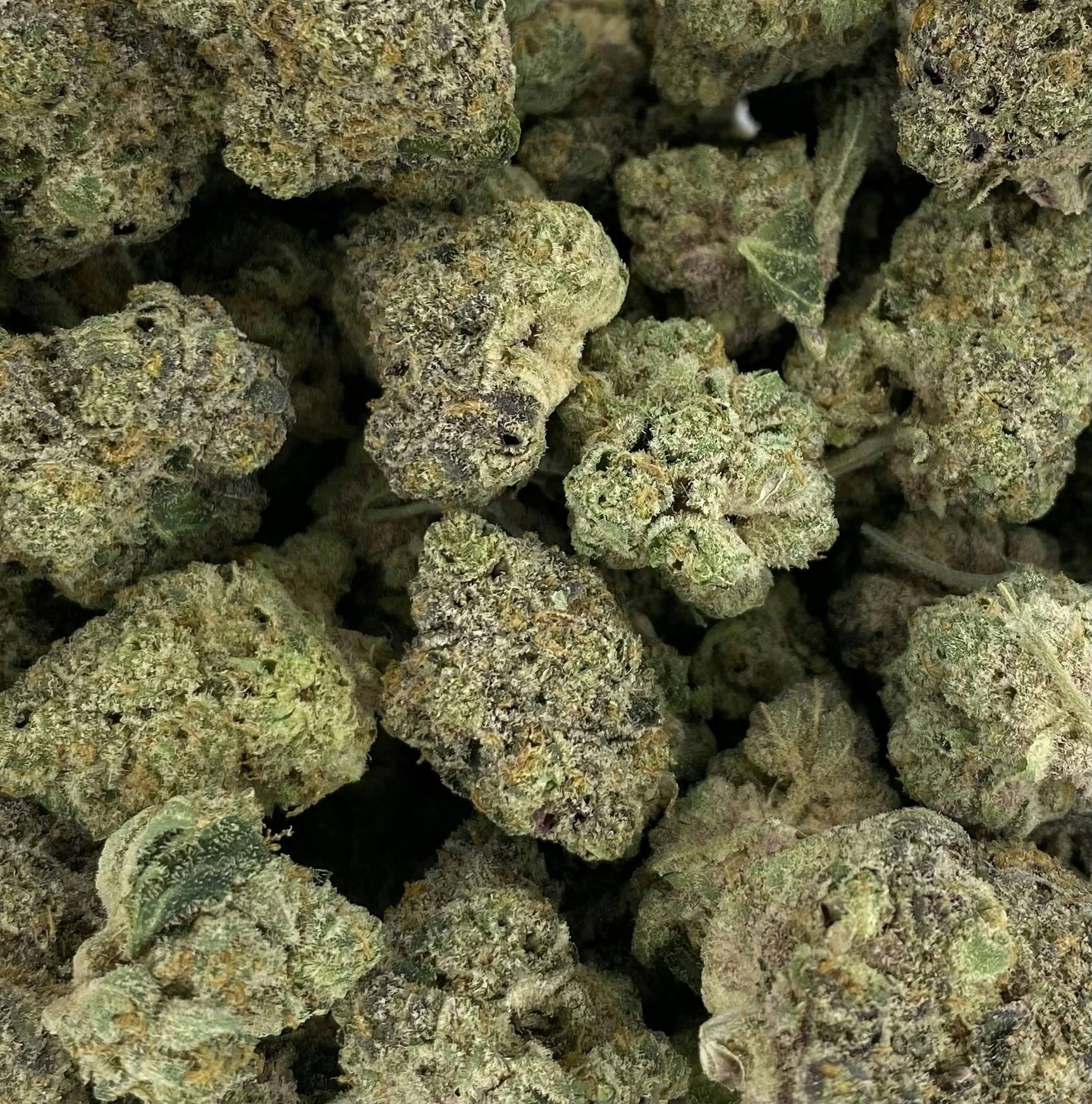 Herb Wealth - Flower - Fizz