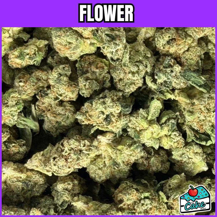 Herb Wealth - Flower - Gelato 41