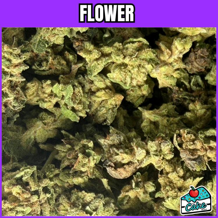Oceana Gardens - Flower - GG4 at The Cake House Ann Arbor Cannabis Dispensary