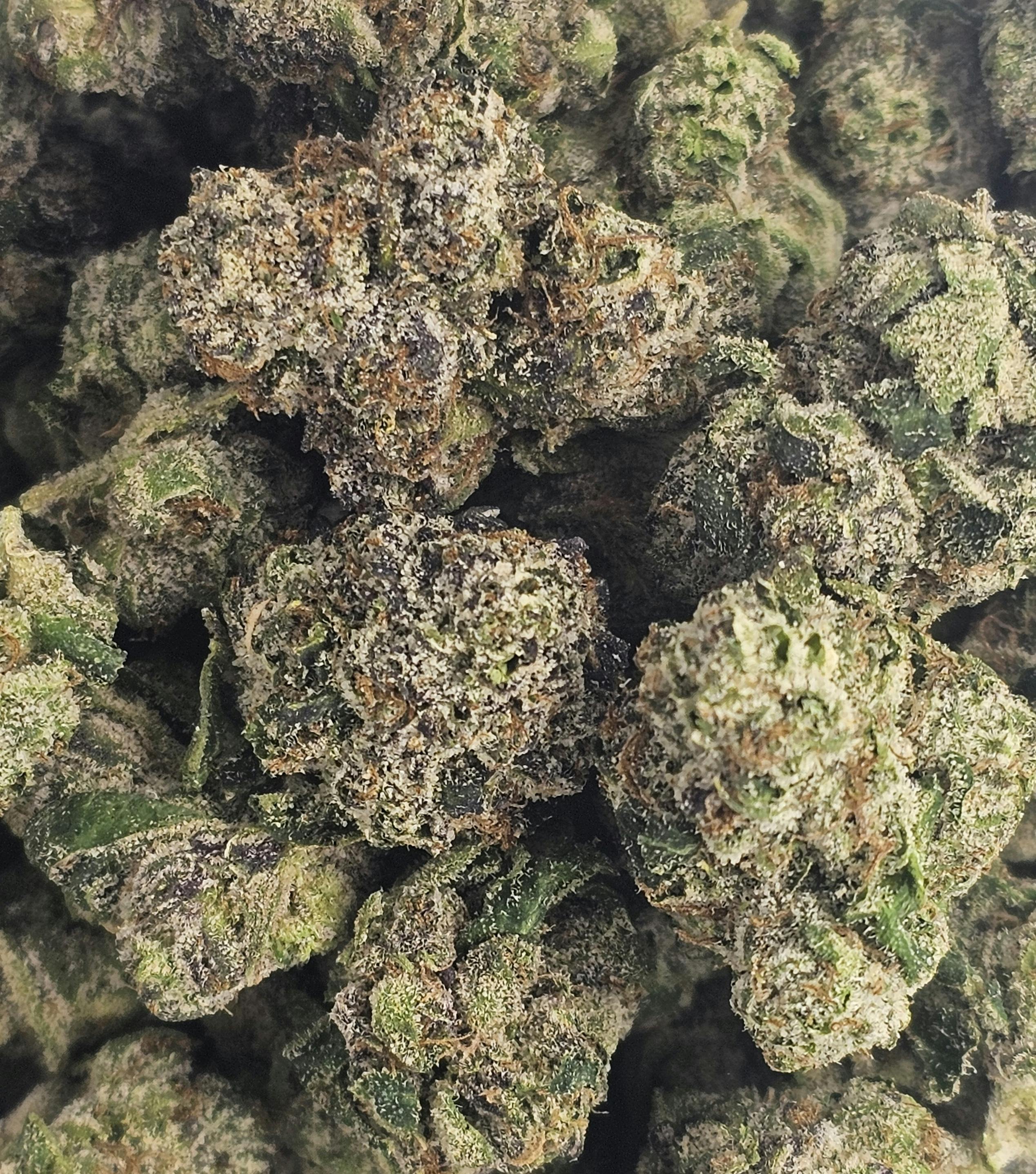 Growing Pains - Flower - Zyrup