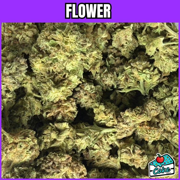 Oceana Gardens - Flower - Banana OG