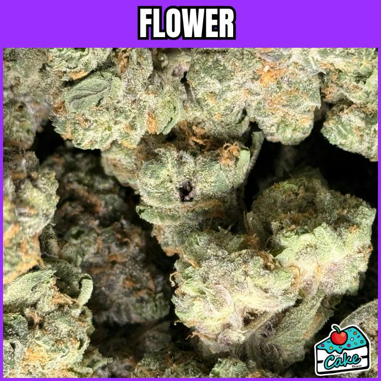 NOBO - Flower - Apple Fritter