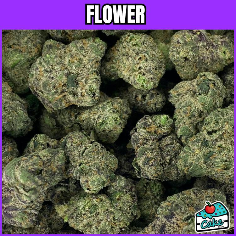 Xotic - Flower - Runtz Popperz