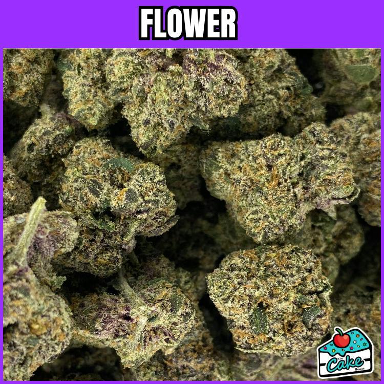 Peninsula Gardens - Flower - Pink Sourz