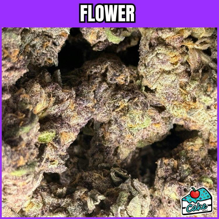 Hytek - Flower - Red Hotz
