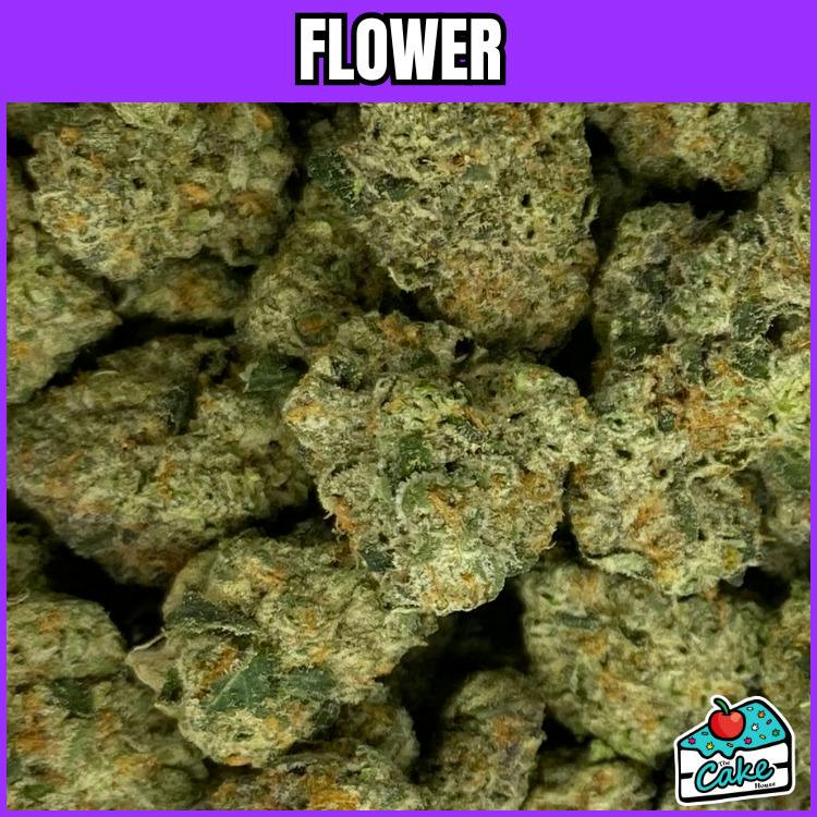 Hytek - Flower - I96 x Perm