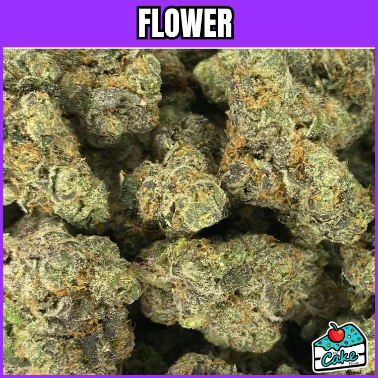 Favrd - Flower - Cherry Tarts #9