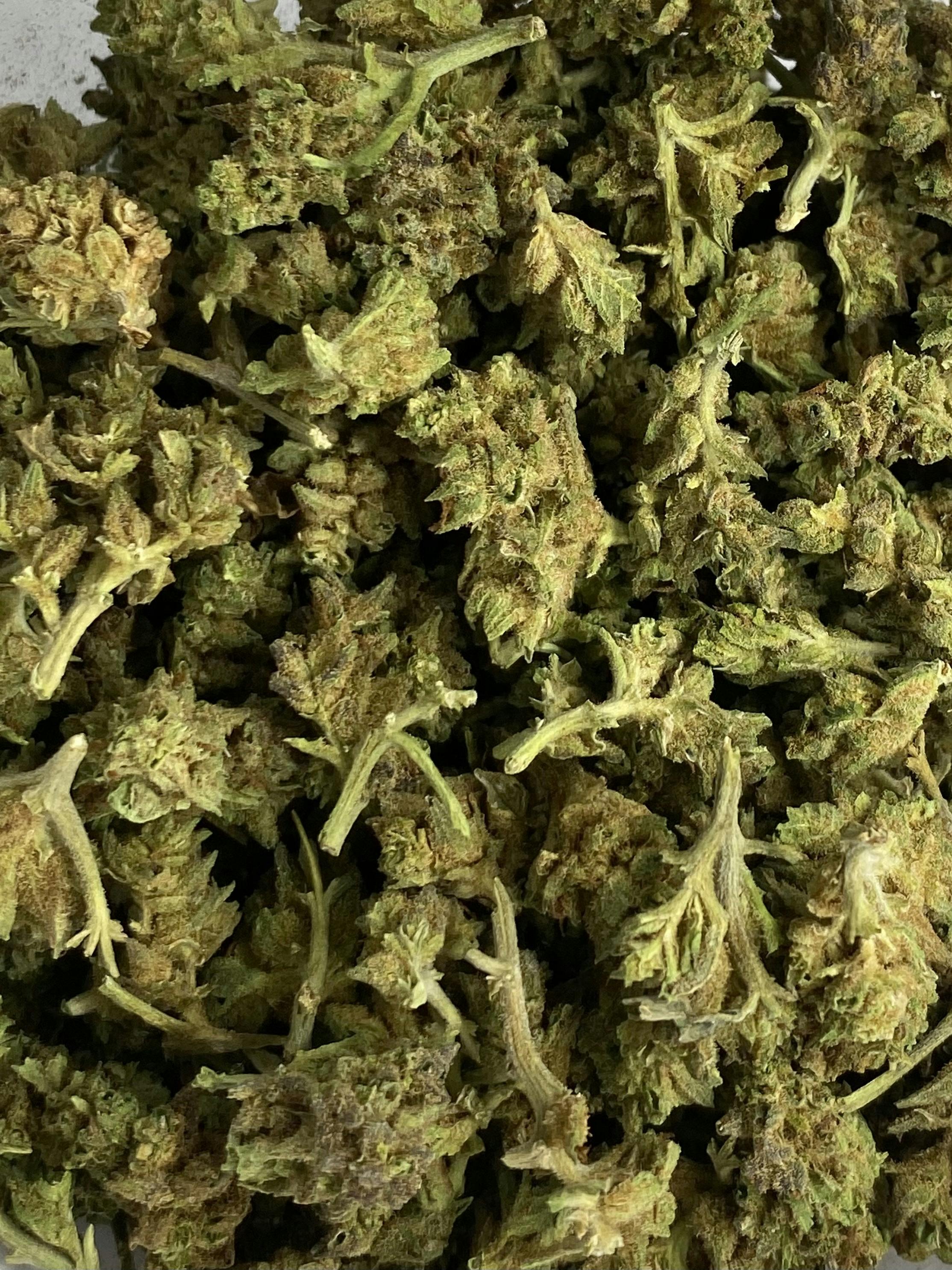 Oceana Gardens - Flower - Super Boof at The Cake House Ann Arbor Cannabis Dispensary