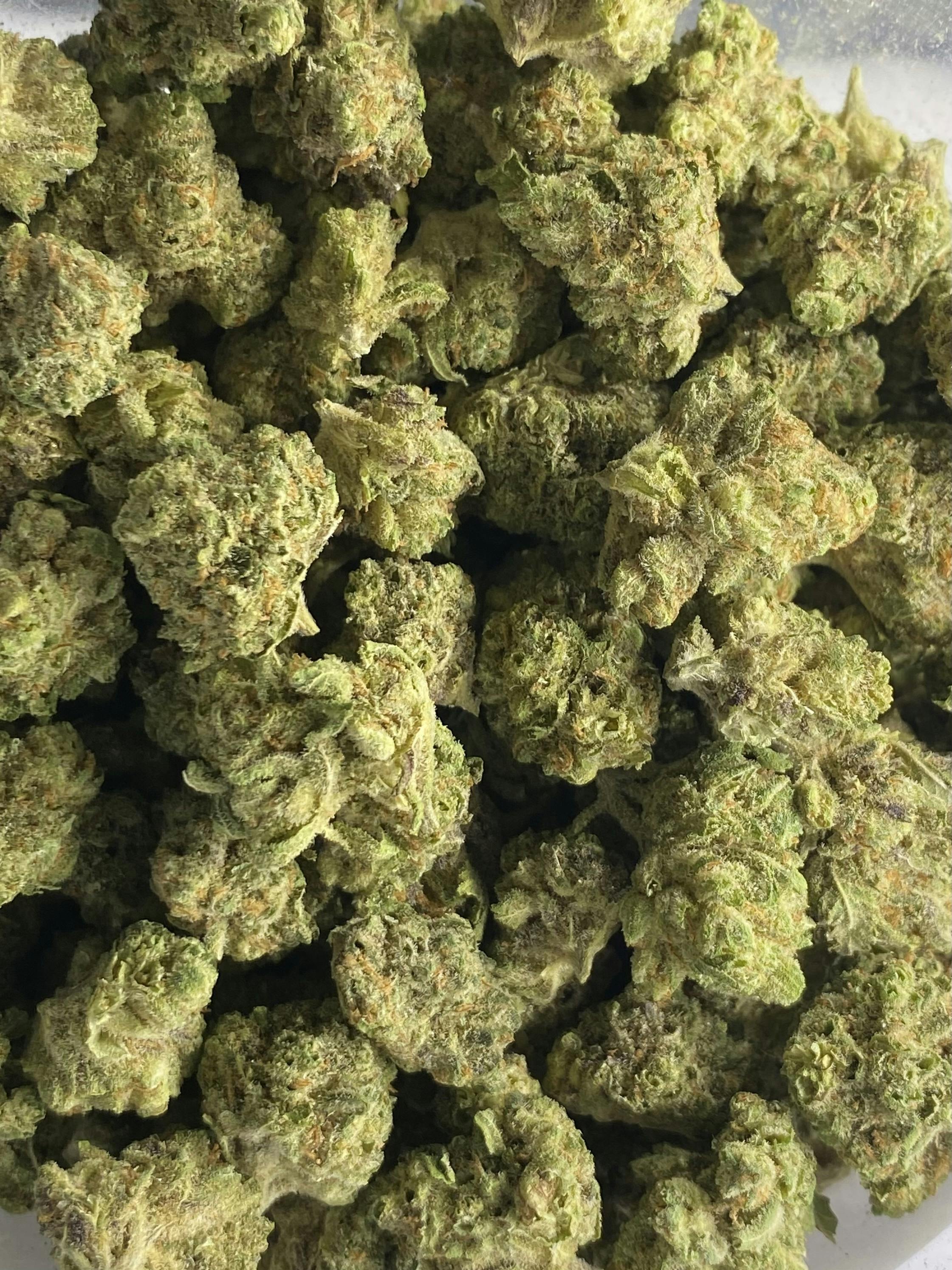 Grown Rogue - Flower - Jack Herer
