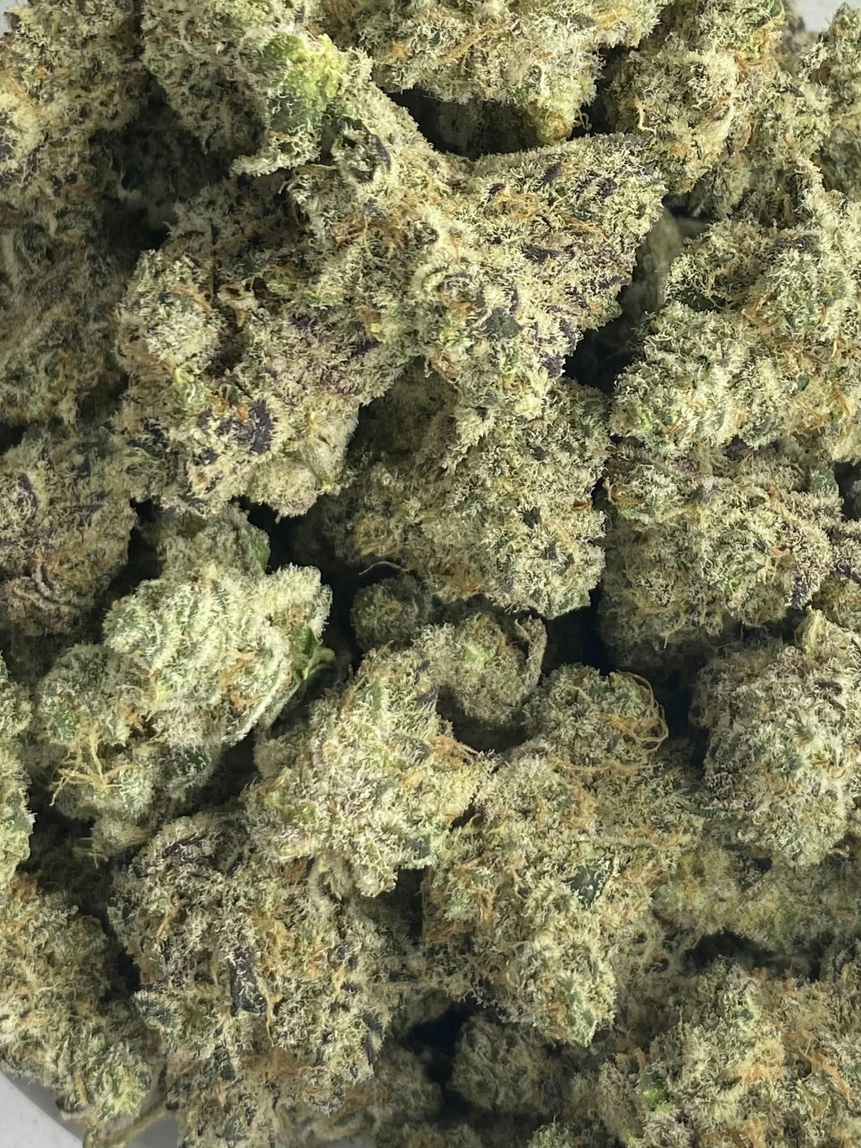 Tip Top Crop - Flower - Blueberry Sugar