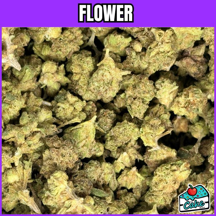 Oceana Gardens - Flower - Apple Pie