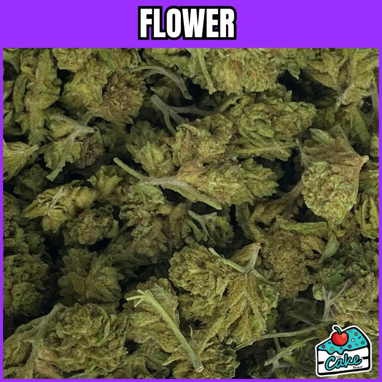 Oceana Gardens - Flower - Hella Jelly