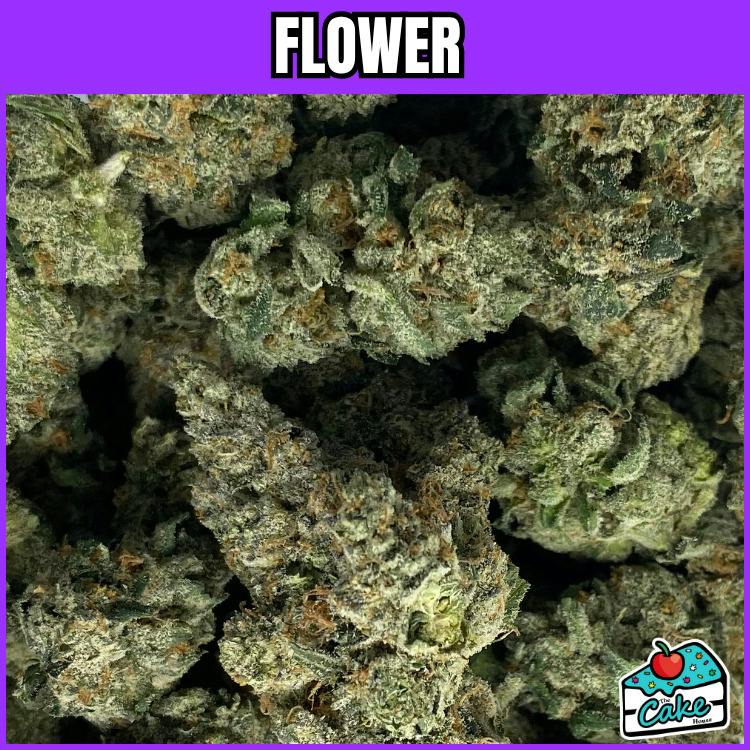 P4P - Flower - Gary Bird