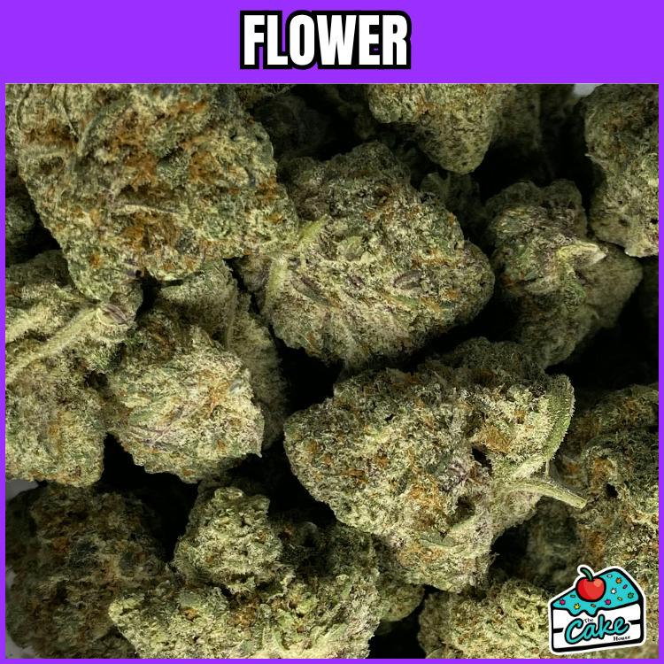Tango Jack - Flower - Prism