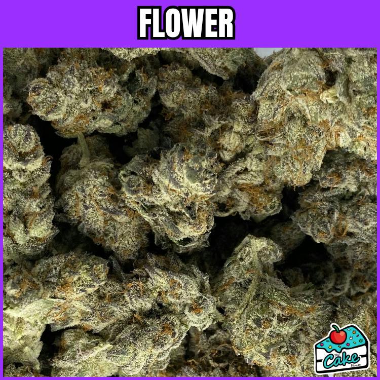 Tango Jack - Flower - Tango Jack