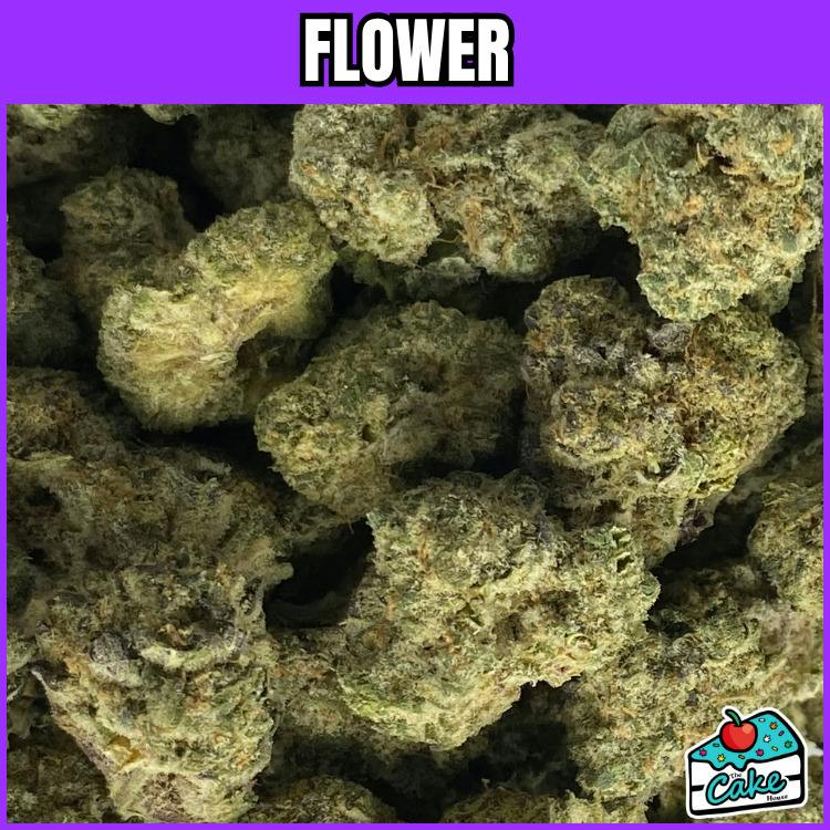 Tango Jack - Flower - Cherry Pop Tart