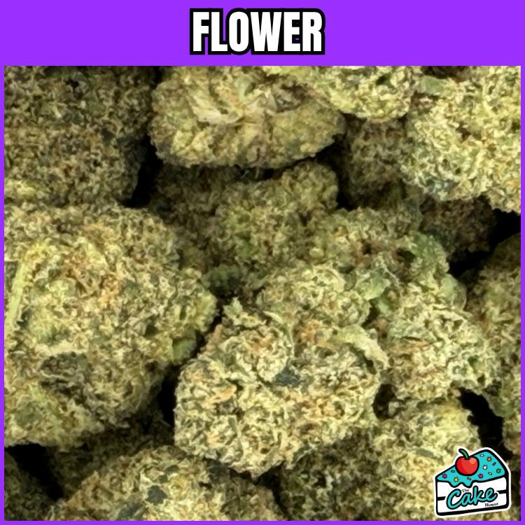 Xotic - Flower - Sherb Pie