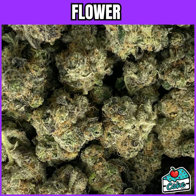 Terp Talk - Flower - Govern Mint Oasis