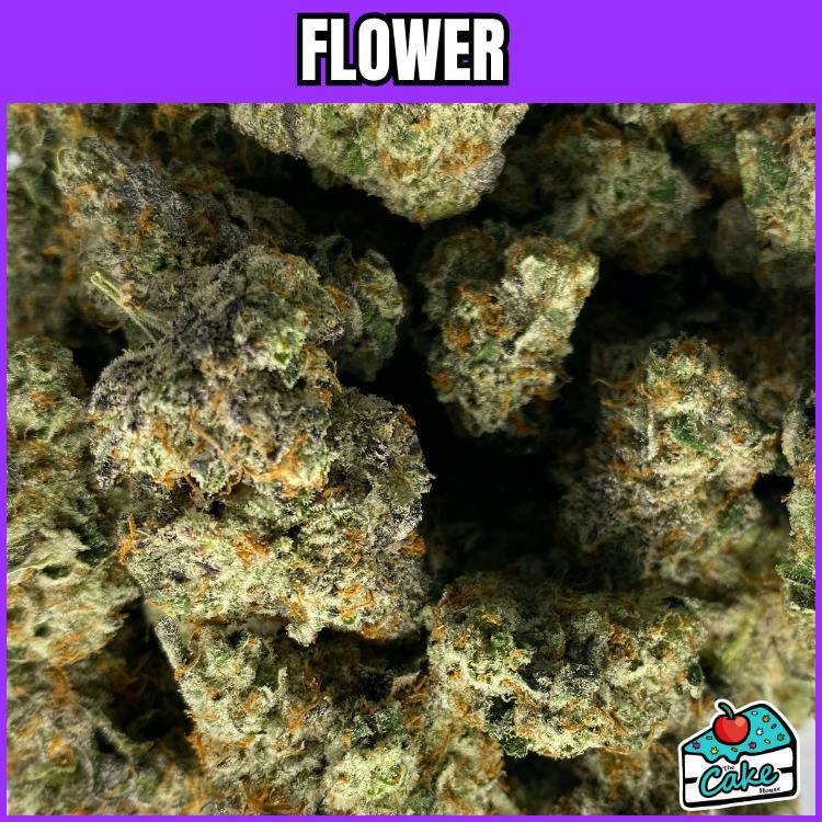 Mitten Canna - Flower - G Rod