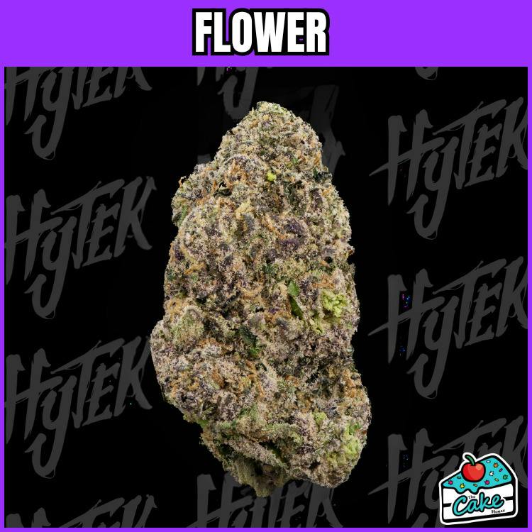 Hytek - Flower - Versace
