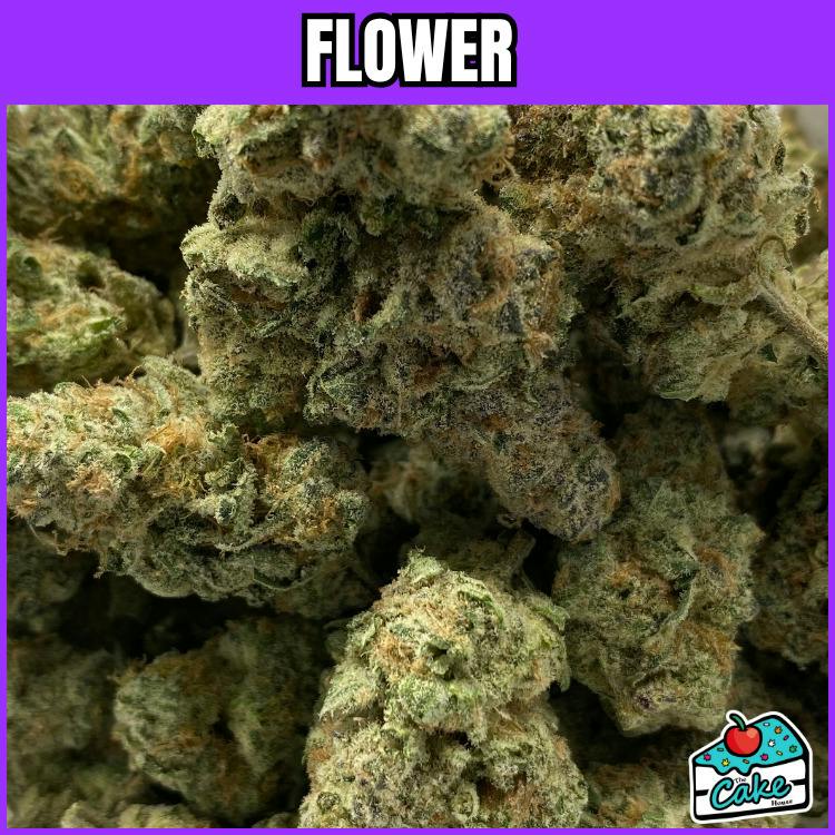 P4P - Flower - Peaches & Cream