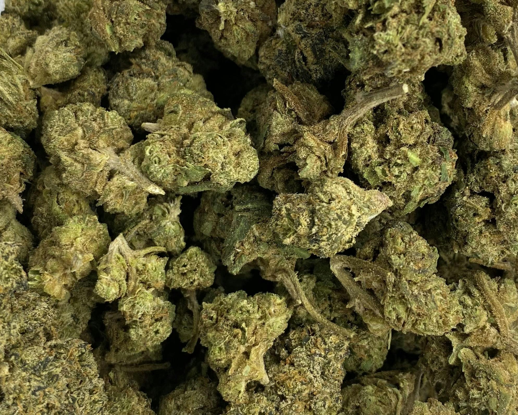 Detroit Flower Grove - Flower - Sherb Cream Pie