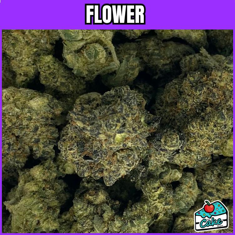 Xotic - Flower - EPBC