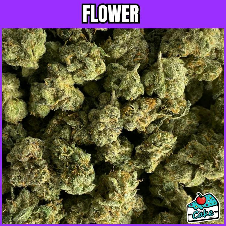 P4P - Flower - Gary Bird Smalls
