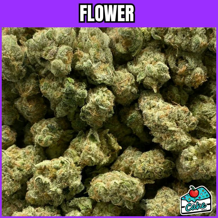P4P - Flower - Peaches & Cream Smalls