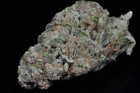Grape Stomper CBD $99 Oz