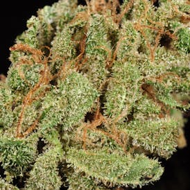 Ghost Memory OG