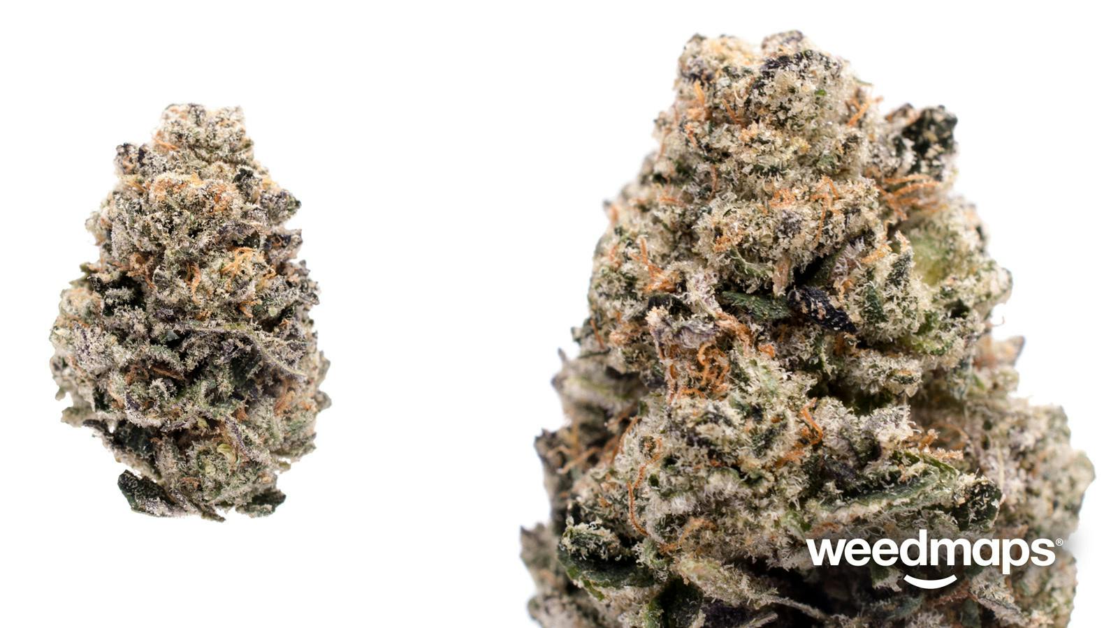 Gs Cookies Oz